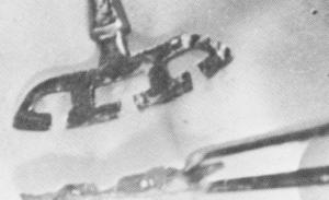 3 Buccal view of bone growth over endosseous blade implant