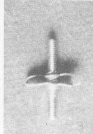 2 Design of Lehman`s endosseous arch implant