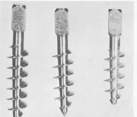 3 Tramonte endosseous narrow-necked implant designed with Titanium
