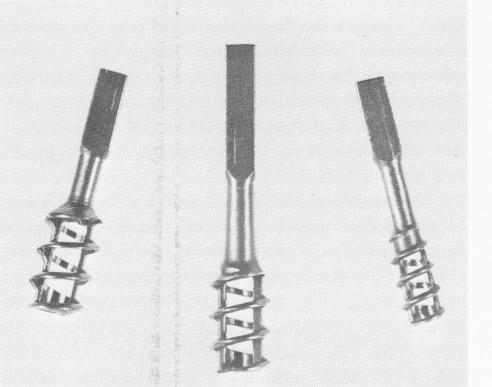 1 Muratori`s later endosseous implant design