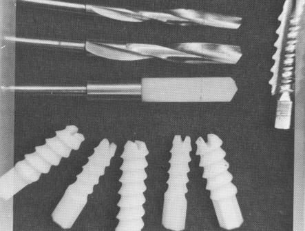1 Sandhaus` endosseous implants immediately after insertion in mandible