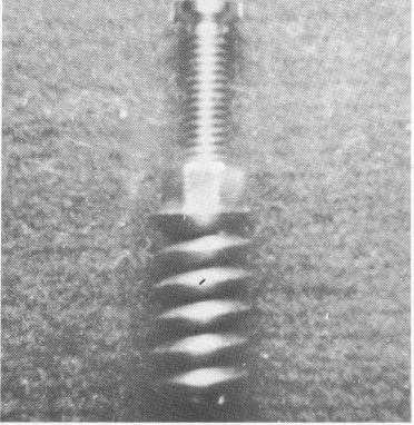 2 Raphael Chercheve`s 