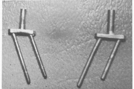 3 Vent plant endosseous implant offsets upper bifid implant movement