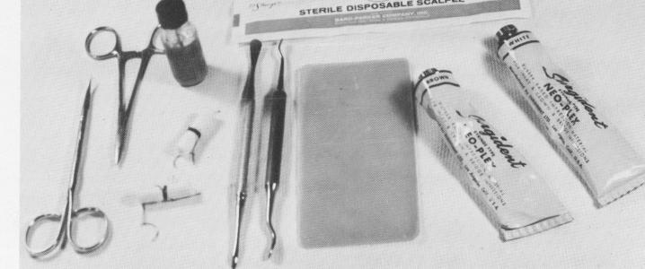 2 Basic armamentarium for subperiosteal implant insertion