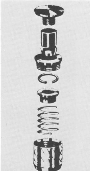 2 Dolder bar with Suts pivot stabilizes implants in mandible and maxilla