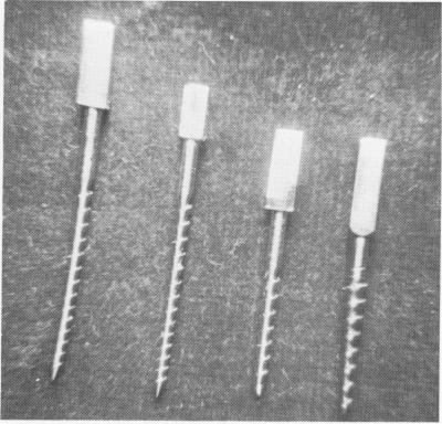 1 Various sized narrow ridge endosseous implants 