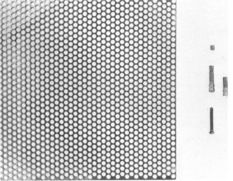 2 Tantalum sheet for specially designed subperiosteal implant by Marziani